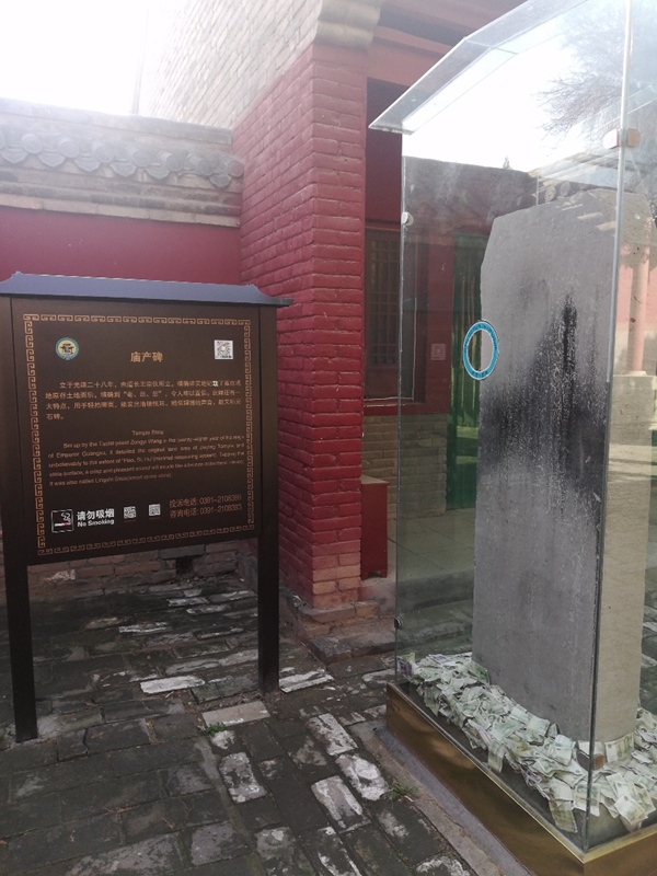 图片3