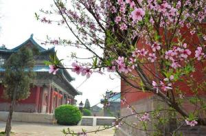 桃花